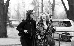 3_250x154_crop_478b24840a