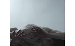 vtora-koja-2_250x154_crop_478b24840a