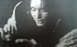 toni1_250x154_crop_478b24840a