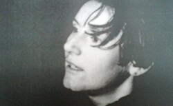 toni2_250x154_crop_478b24840a