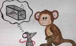 toshko6_250x154_crop_478b24840a