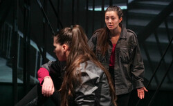 dsc03891_250x154_crop_478b24840a