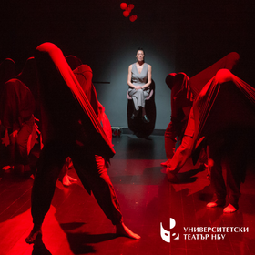 ptici-1_280x280_crop_478b24840a