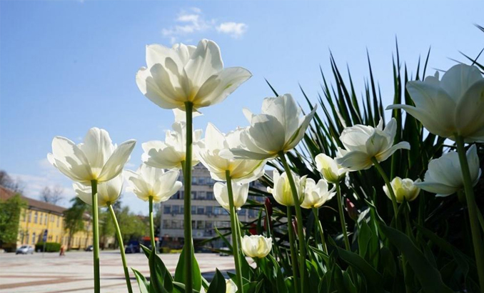 gabrovo-kulturni-novini_678x410_crop_478b24840a