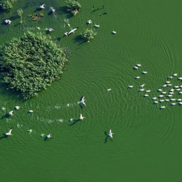 s_700x700_crop_478b24840a