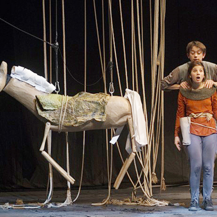 photo-18_700x700_crop_478b24840a