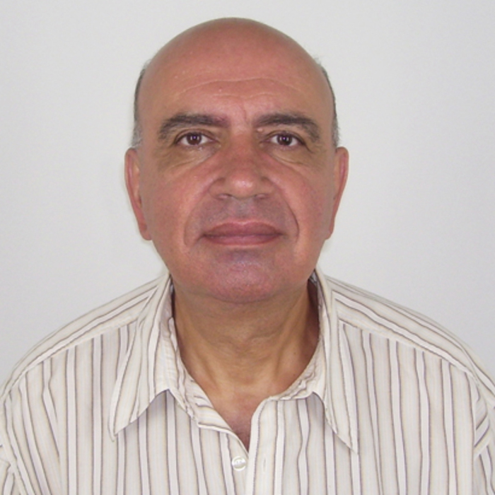 roimeo-papilev-word-press-tocka-com_700x700_crop_478b24840a