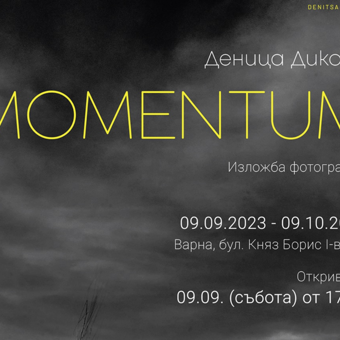 denica_700x700_crop_478b24840a