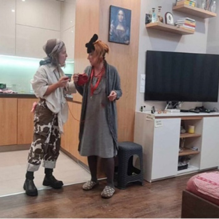 03-teatar-v-apartament-bnr_700x700_crop_478b24840a