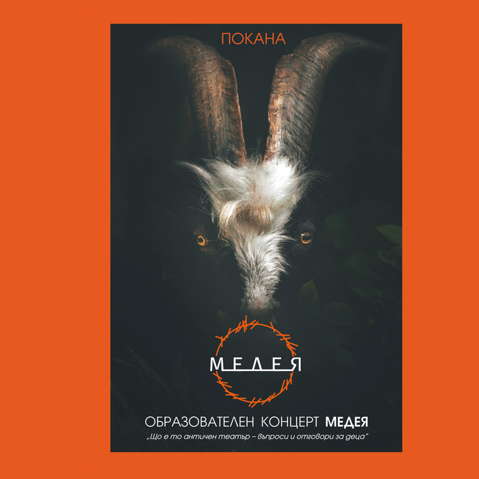 medeya_700x700_crop_478b24840a