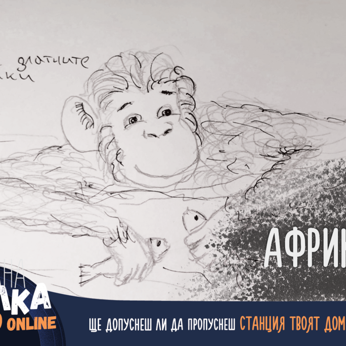 image00005_700x700_crop_478b24840a