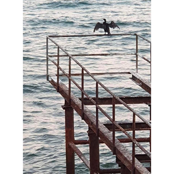 edna-snimka_700x700_crop_478b24840a